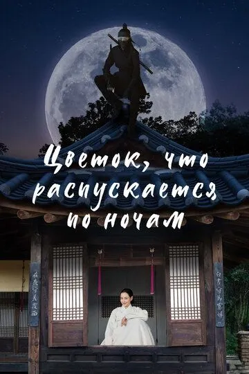 Цветок, что распускается по ночам смотреть онлайн бесплатно